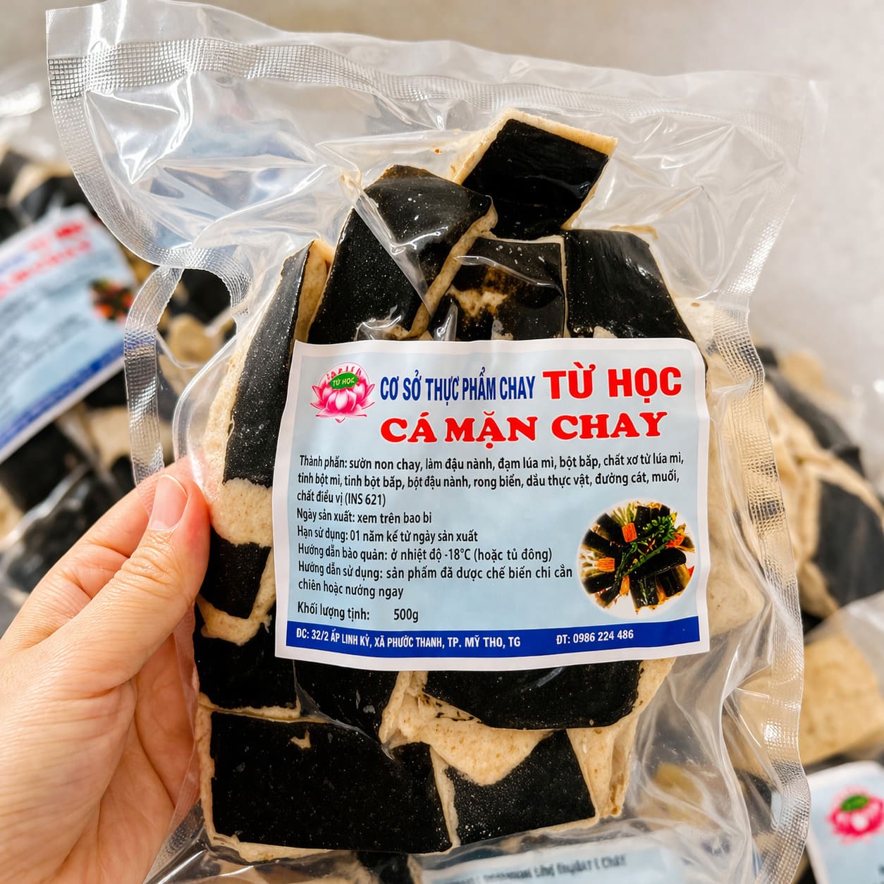 Cá Mặn Chay